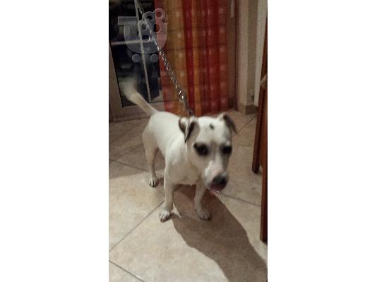 PoulaTo: Πώληση